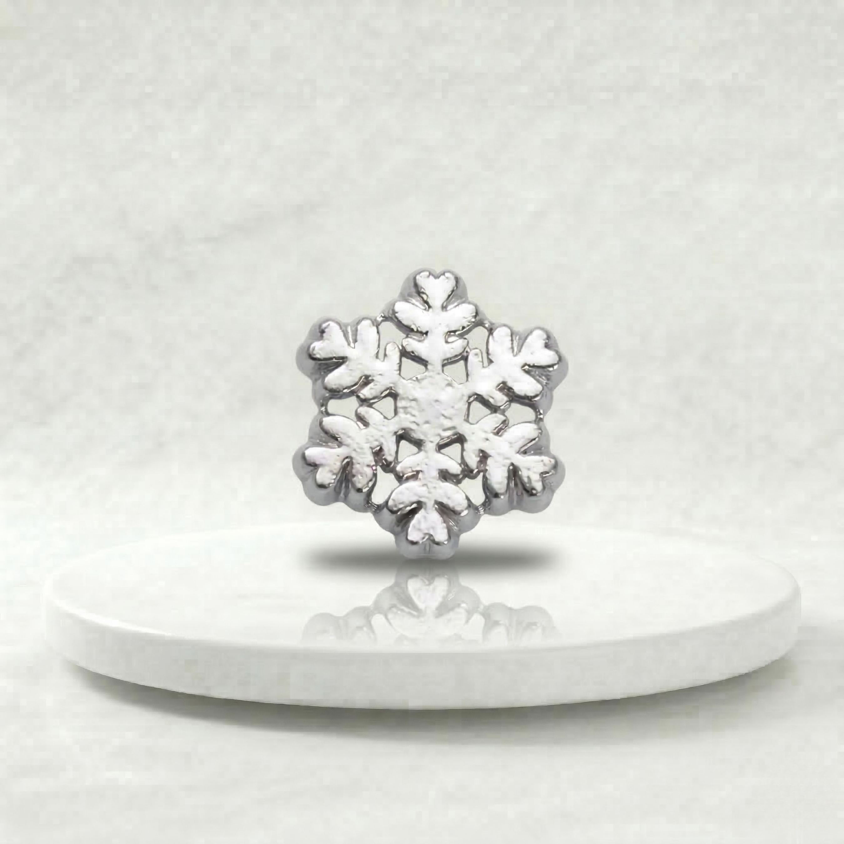 Magia de Invierno: Plata